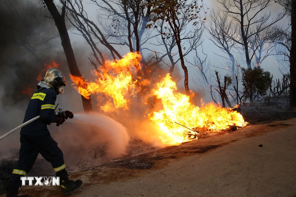 Nhân viên cứu hỏa nỗ lực khống chế đám cháy rừng tại Varybobi, Acharnes, Hy Lạp. (Ảnh: THX/TTXVN)