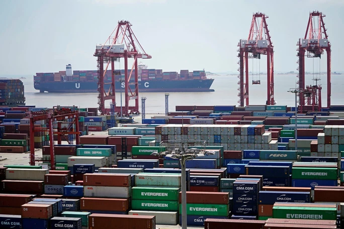 WTO nhận định hoạt động giao thương toàn cầu đang chậm lại | Vietnam+  (VietnamPlus)
