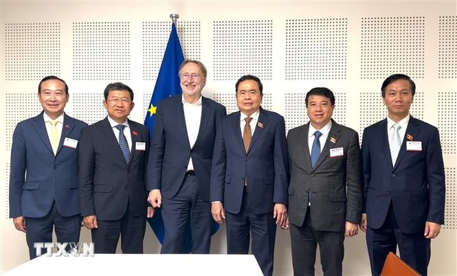 Phó Chủ tịch Thường trực Quốc hội Trần Thanh Mẫn và Chủ tịch Ủy ban Thương mại Quốc tế Nghị viện châu Âu (INTA) Bernd Lange (thứ 3, trái) với các đại biểu Việt Nam. (Ảnh: TTXVN phát)