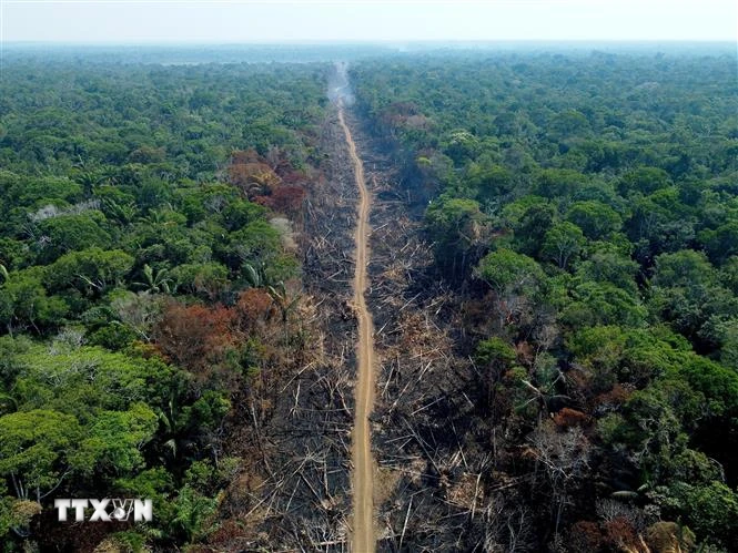 Một khoảng rừng Amazon bị đốt phá. (Ảnh: AFP/TTXVN)