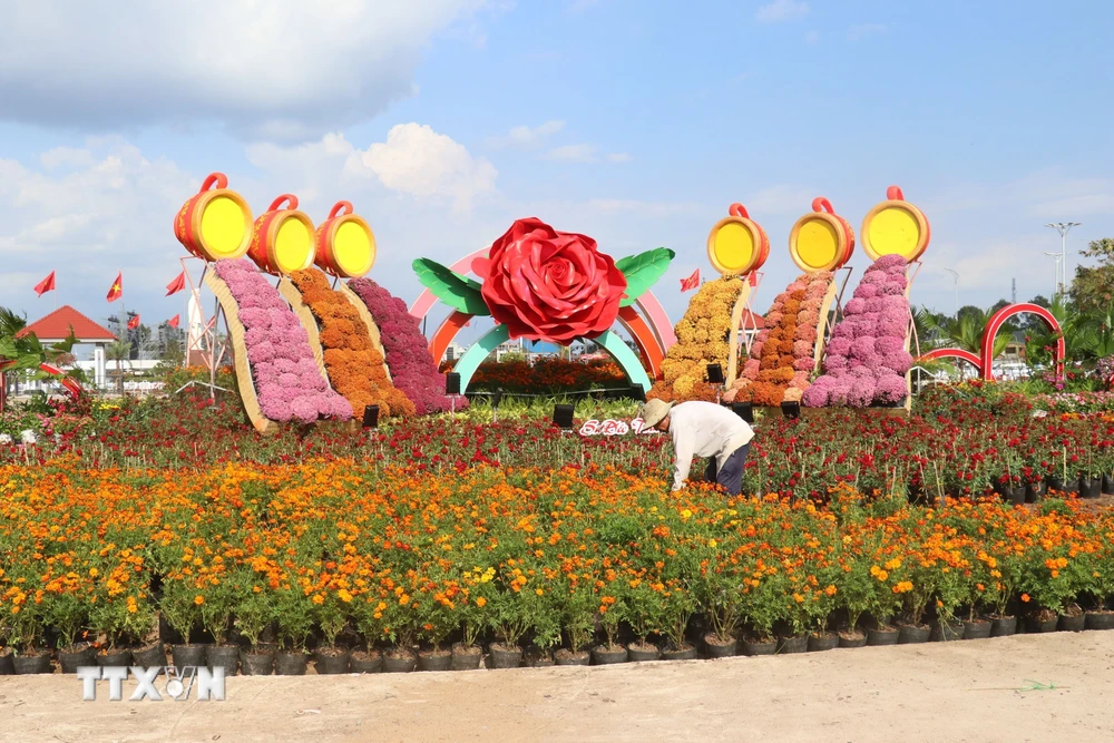 Tiểu cảnh hoa kiểng phục vụ Festival Hoa- Kiểng tại thành phố Sa Đéc (tỉnh Đồng Tháp) (Ảnh: Nguyễn Văn Trí/TTXVN)