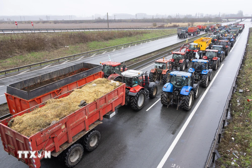 Nông dân Pháp phong tỏa cao tốc A1 nối thủ đô Paris và Lille trong cuộc biểu tình ở Lesquin, miền Bắc Pháp, ngày 25/1. (Ảnh: THX/TTXVN)