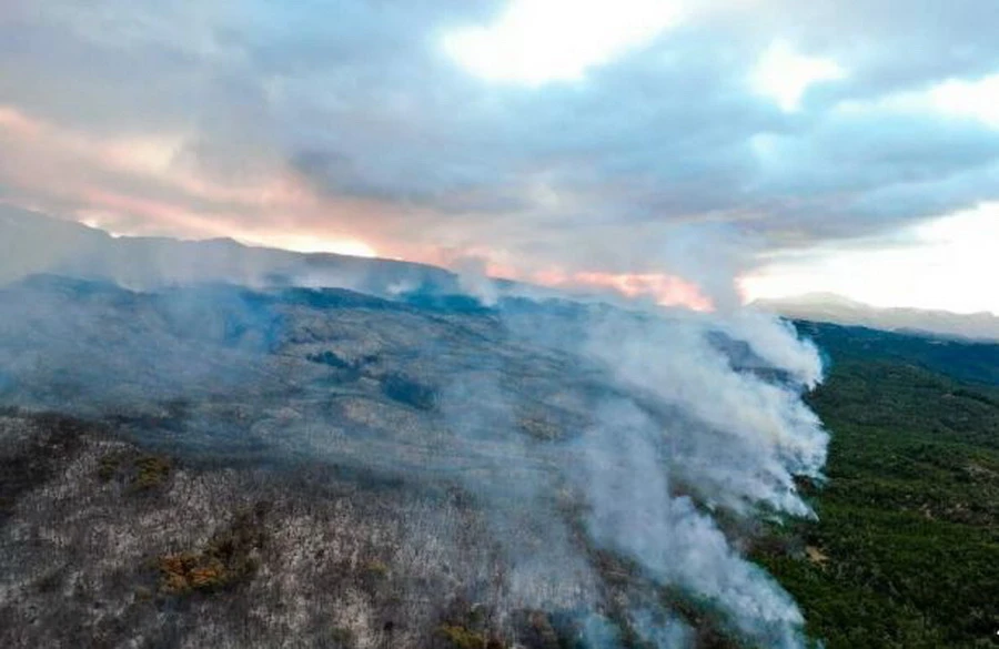 Trận hỏa hoạn đã thiêu rụi khoảng 8.205 ha khu bảo tồn thiên nhiên. (Nguồn: AFP)