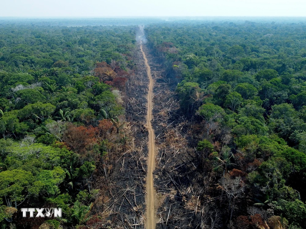 Khoảng rừng Amazon bị đốt phá tại Humaita, bang Amazonas, Brazil. (Ảnh: AFP/TTXVN)