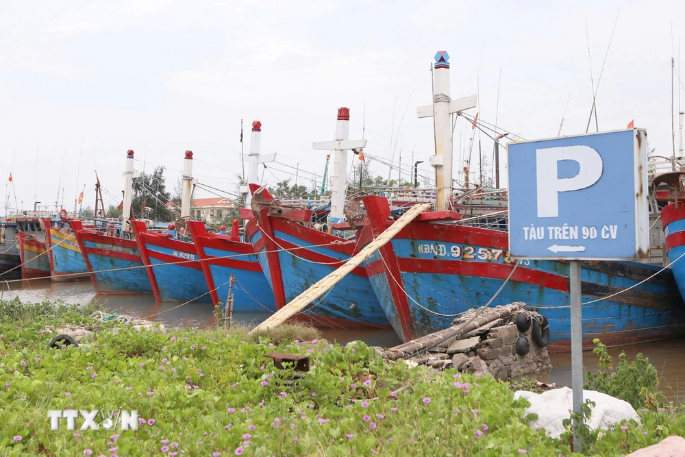 Tàu thuyền neo đậu tại Cảng cá Nam Định để tránh bão. (Ảnh: Công Luật/TTXVN)
