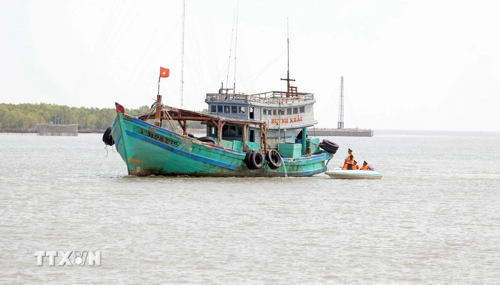 Tàu thuyền đánh bắt xa bờ. (Ảnh: Huỳnh Anh/TTXVN)