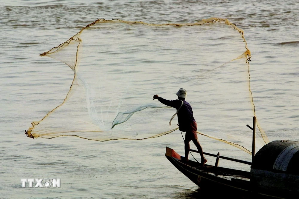 Đánh bắt cá trên sông Mekong gần Phnom Penh, Campuchia. (Ảnh: AFP/TTXVN)