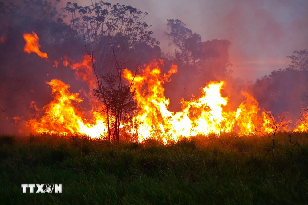 (Ảnh minh họa. AFP/TTXVN)