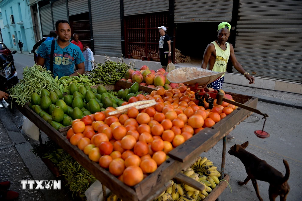 Người dân bán rau quả trên đường phố tại La Habana, Cuba, ngày 11/6/2019. (Ảnh: AFP/ TTXVN)