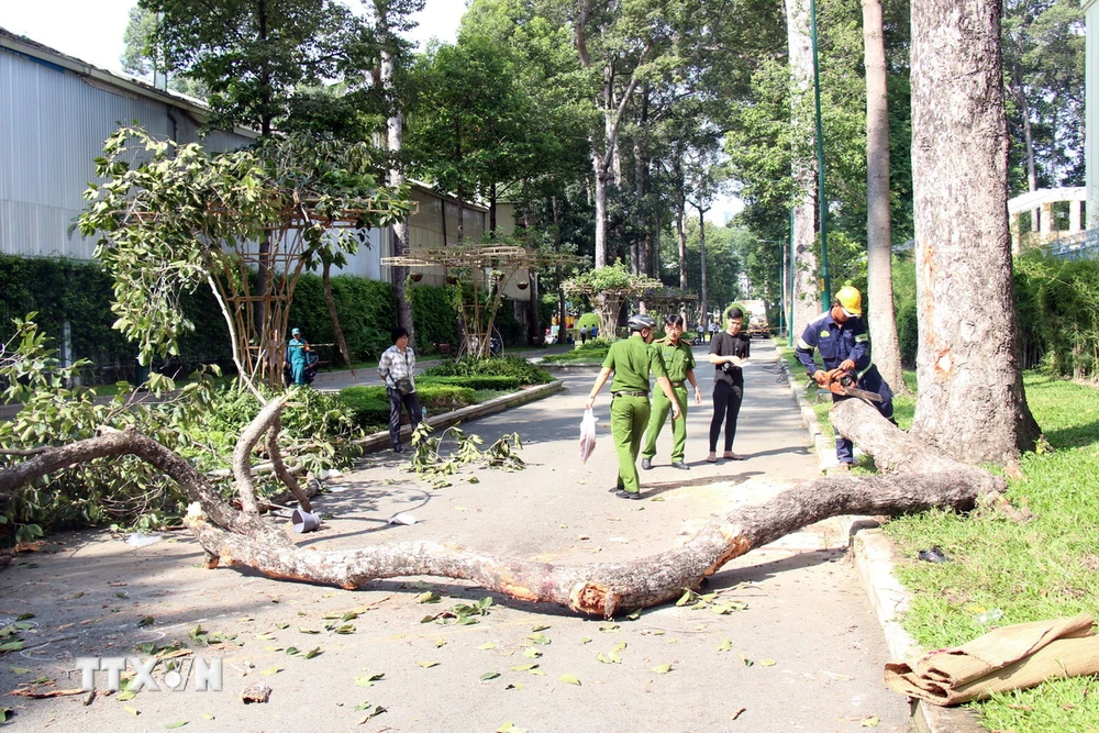 Hiện trường vụ việc. (Ảnh: Tiến Lực/TTXVN)