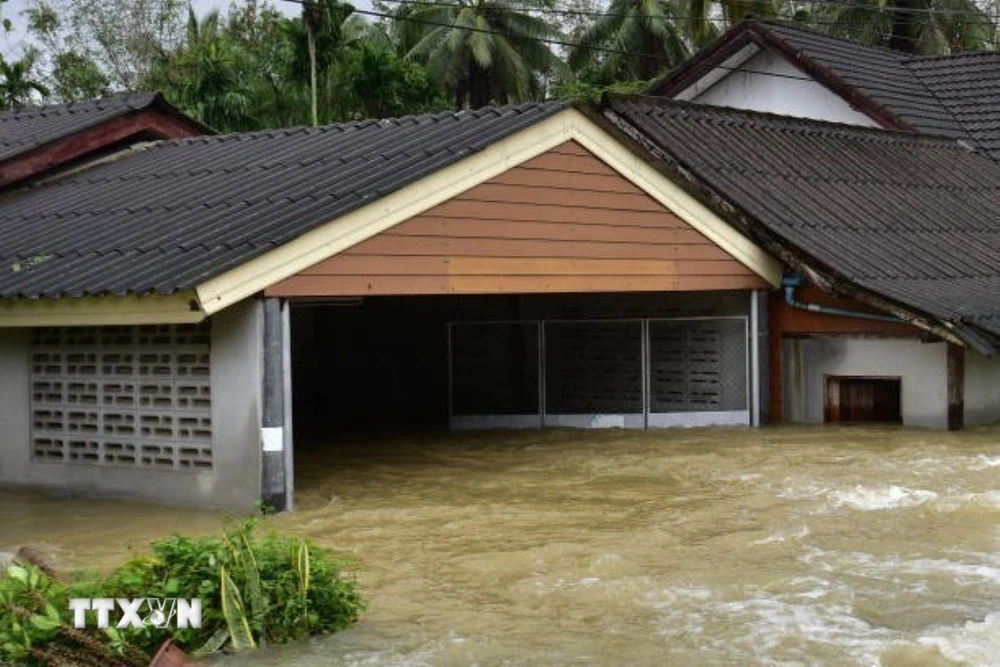 Cảnh ngập lụt sau những trận mưa lớn tại Narathiwat, Thái Lan. (Ảnh: Getty Images/TTXVN)