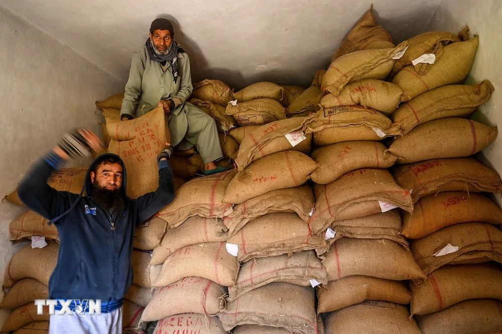 Vận chuyển gạo tại kho ở Srinagar, Ấn Độ. (Ảnh: AFP/TTXVN)