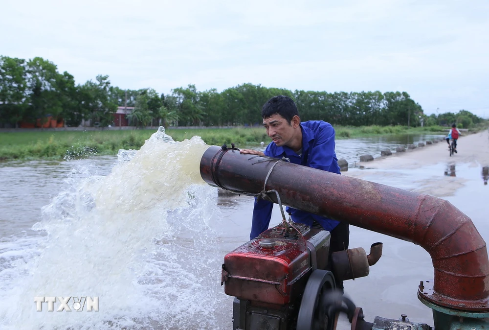 Bơm nước chống úng cho lúa. (Ảnh minh họa. Công Luật/TTXVN)