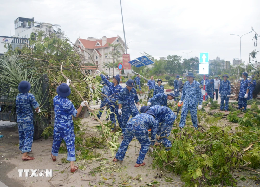 Lực lượng Cảnh sát Biển dọn dẹp cây bị đổ tại Hải Phòng. (Ảnh: Hoàng Ngọc/TTXVN)