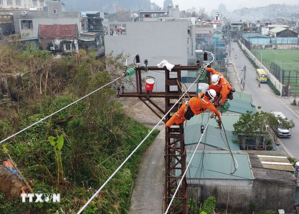 Thi công sửa chữa lưới điện trên địa bàn phường Hà Tu, thành phố Hạ Long. (Ảnh: Huy Hùng/TTXVN)