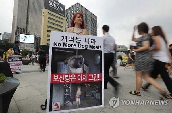 Một nhà hoạt động cầm biểu ngữ kêu gọi người dân Hàn Quốc dừng ăn thịt chó. (Nguồn: Yonhap) 