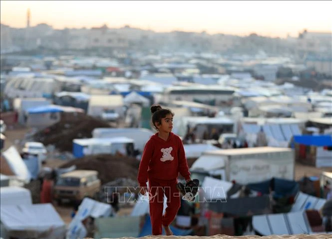 Một em nhỏ tại khu trại tạm cho người tị nạn Palestine ở thành phố Rafah, Dải Gaza ngày 10/2/2024. (Ảnh minh họa: THX/TTXVN)