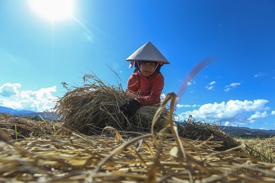 vna_potal_ngay_quoc_te_phu_nu_83_ton_vinh_nhung_cong_hien_cua_phu_nu_trong_thoi_dai_moi_7255828.jpg