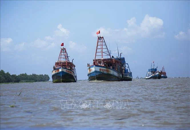 Tàu cá neo đậu trên vùng biển huyện An Biên, tỉnh Kiên Giang. (Ảnh tư liệu: Hồng Đạt/TTXVN))