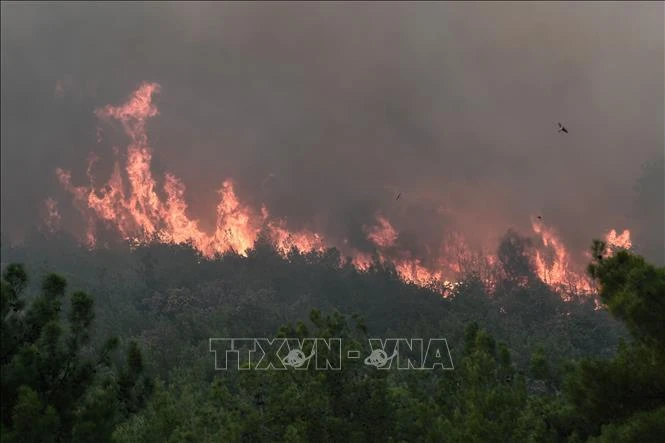 Cháy rừng ở Tây Ban Nha. (Nguồn: AFP/TTXVN)