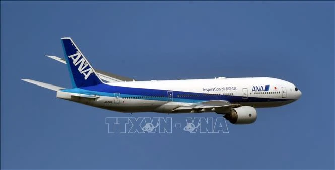 Máy bay của hãng hàng không ANA. (Ảnh tư liệu: Kyodo/TTXVN)