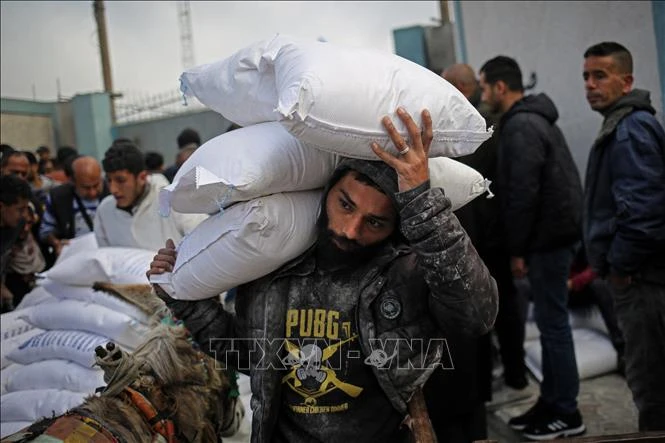 Người tị nạn Palestine ở Rafah, Dải Gaza nhận hàng viện trợ . (Ảnh: AFP/TTXVN)