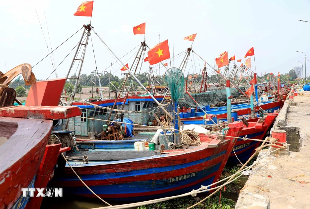 Tàu thuyền neo đậu tại Cảng cá Tân Sơn, huyện Thái Thụy để tránh bão số 3. (Ảnh: Thế Duyệt/TTXVN)