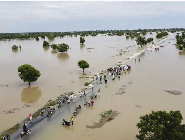 Lượng mưa lớn đã khiến một con đập bị vỡ, tàn phá một vườn thú thuộc sở hữu nhà nước. (Nguồn: AFP)