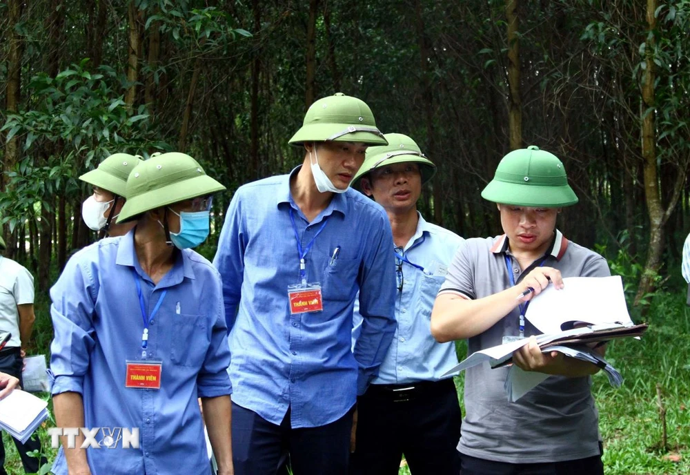 Xác định diện tích cưỡng chế thu hồi đất gia đình bà Nguyễn Thị Nguyệt (thôn Ngô Bắc, xã Phú Thủy, huyện Lệ Thủy). (Ảnh: Tá Chuyên/TTXVN)