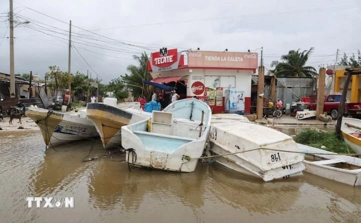 Tàu thuyền được neo tại cảng để tránh bão Milton tại Celestun, Mexico, ngày 8/10/2024. (Ảnh: Reuters/ TTXVN)