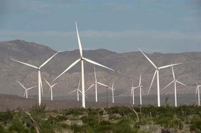 Các turbin sản sinh điện gió ở California (Mỹ). (Ảnh: Reuters/TTXVN)