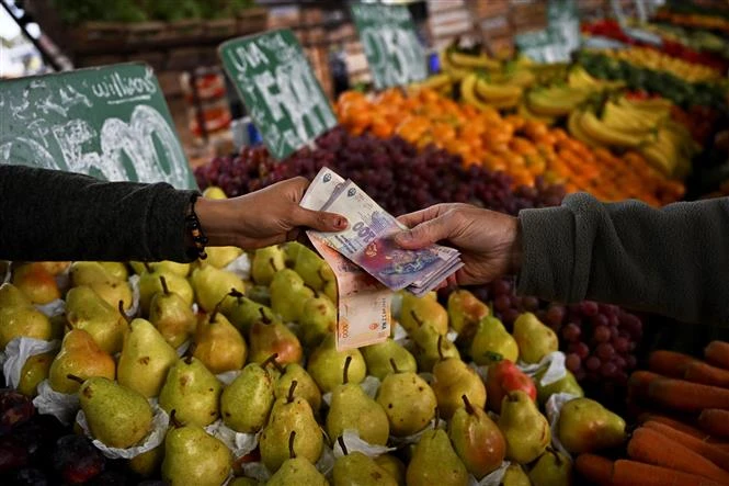 Người dân mua hoa quả tại một khu chợ ở Buenos Aires (Argentina). (Ảnh: AFP/TTXVN)