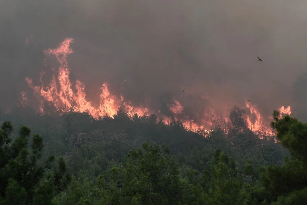 Cháy rừng lan rộng gần làng Lefkimmi, gần Alexandroupoli, phía Bắc Hy Lạp. (Ảnh: AFP/TTXVN)