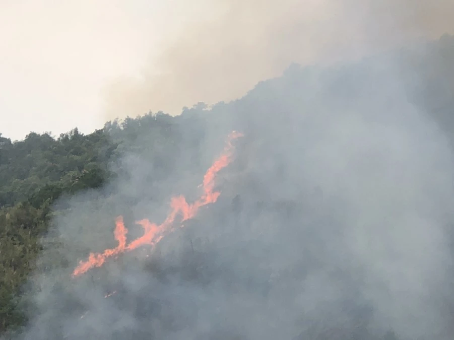 Đám cháy rừng được xác định tại địa bàn giáp ranh giữa hai xã Trung Chải và Nậm Ban của huyện Nậm Nhùn. (Ảnh: Quý Trung/TTXVN)