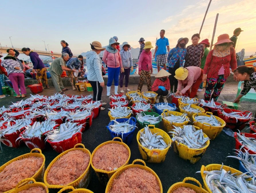Algeria mong muốn các doanh nghiệp Việt Nam tham gia đầu tư tại tỉnh Annaba trong các lĩnh vực như đánh bắt, nuôi trồng thủy hải sản. (Ảnh: Nguyễn Thành/TTXVN)
