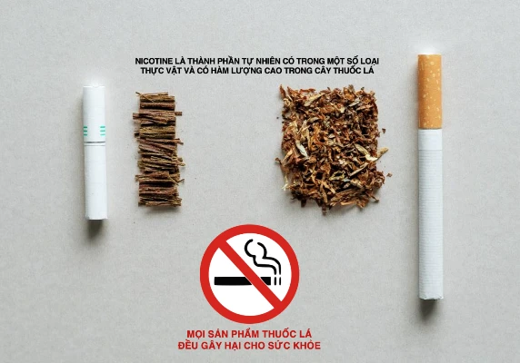 Thuốc lá làm nóng (trái) được sản xuất từ nguyên liệu thuốc lá tự nhiên tương tự như thuốc lá điếu.