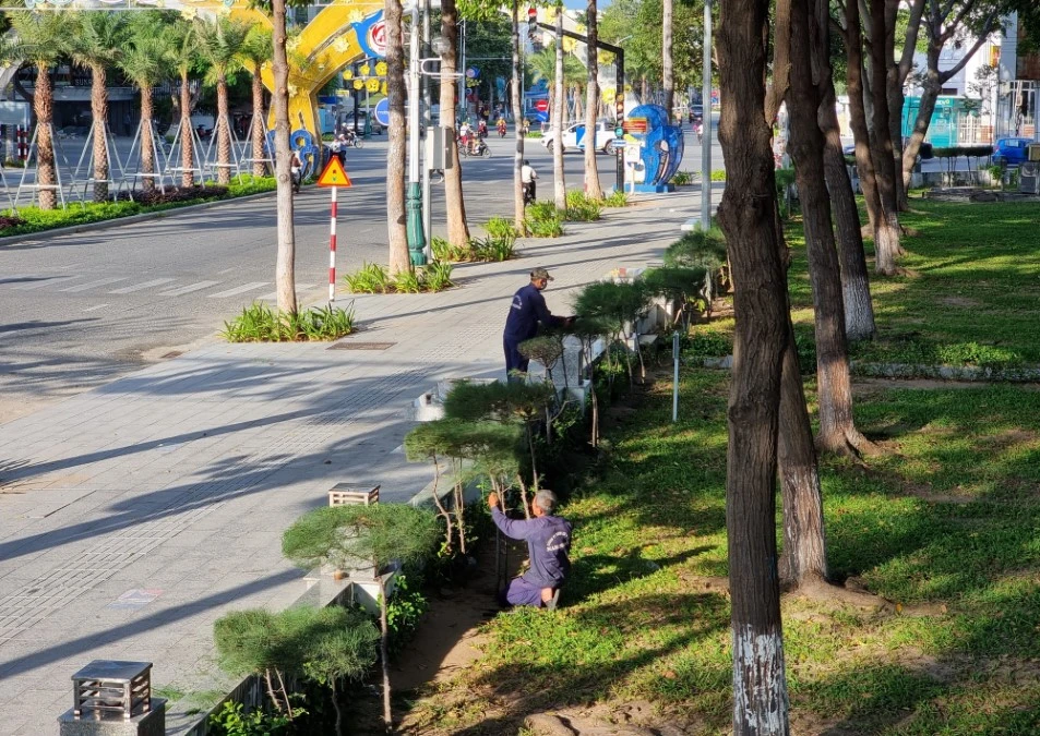 Công nhân chăm sóc, cắt tỉa cây xanh ở thành phố Phan Rang-Tháp Chàm (Ninh Thuận). (Ảnh: Nguyễn Thành/TTXVN)