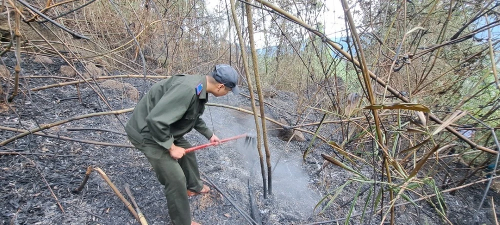 Lực lượng chức năng khẩn trương chữa cháy rừng. (Ảnh: TTXVN phát)