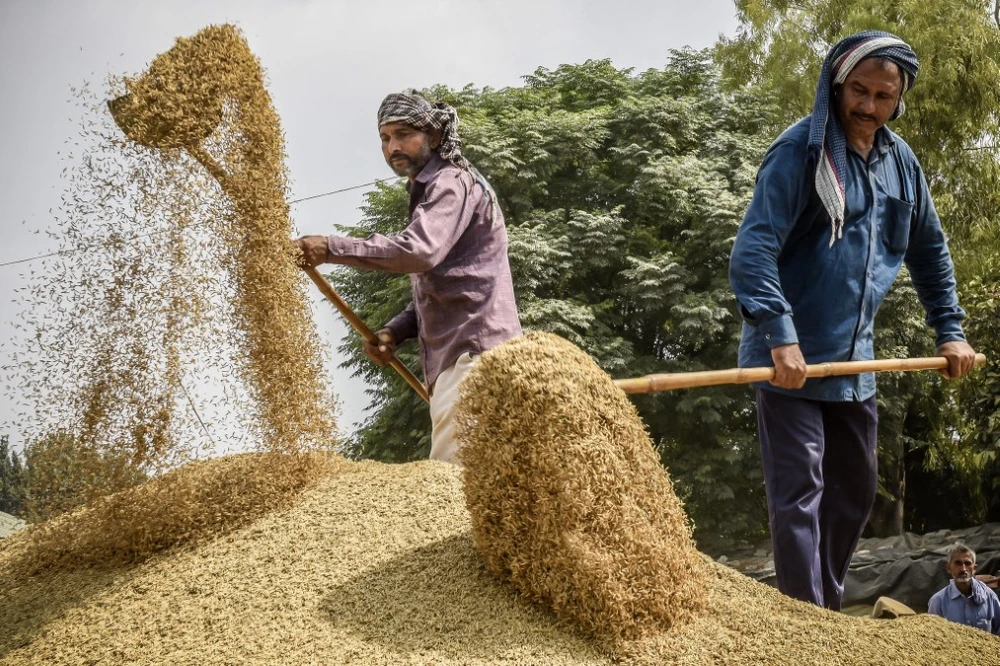 Nông dân tách vỏ trấu khỏi hạt gạo ở ngoại ô thành phố Hyderabad (Ấn Độ). (Ảnh: AFP/TTXVN)