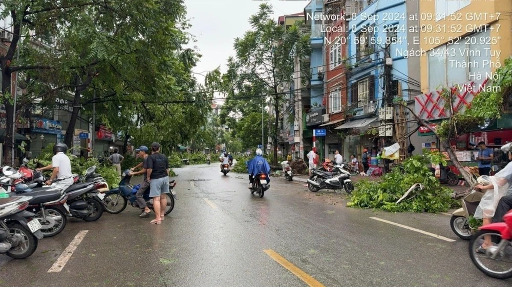 Giao thông đường Dương Văn Bé (Hà Nội) đã hoạt động trở lại sau khi lực lượng chức năng dọn dẹp cây đổ. (Ảnh: Nguyễn Văn Cảnh/TTXVN)