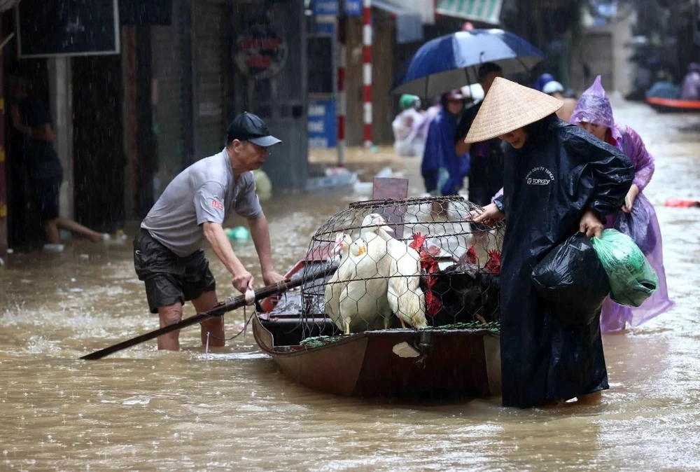 Cảnh tượng hiếm thấy: gà vịt được ưu tiên đi thuyền, còn người phải lội nước bì bõm trên phố Thanh Yên, phường Phúc Tân, quận Hoàn KIếm (ảnh chụp lúc 14h05 ngày 11/9). (Ảnh: An Đăng/TTXVN)