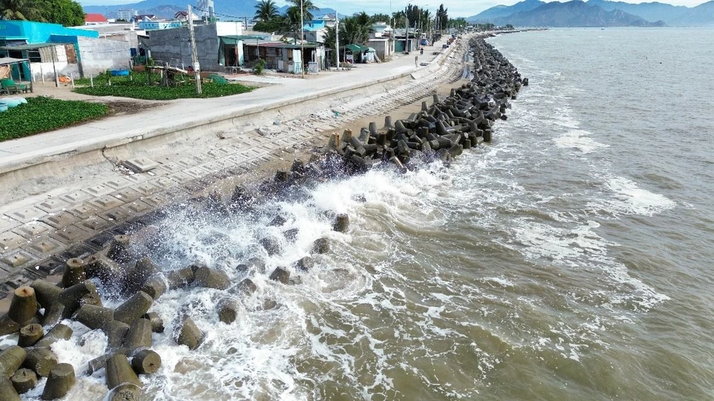 Ảnh minh họa. (Ảnh: Nguyễn Thành/TTXVN)