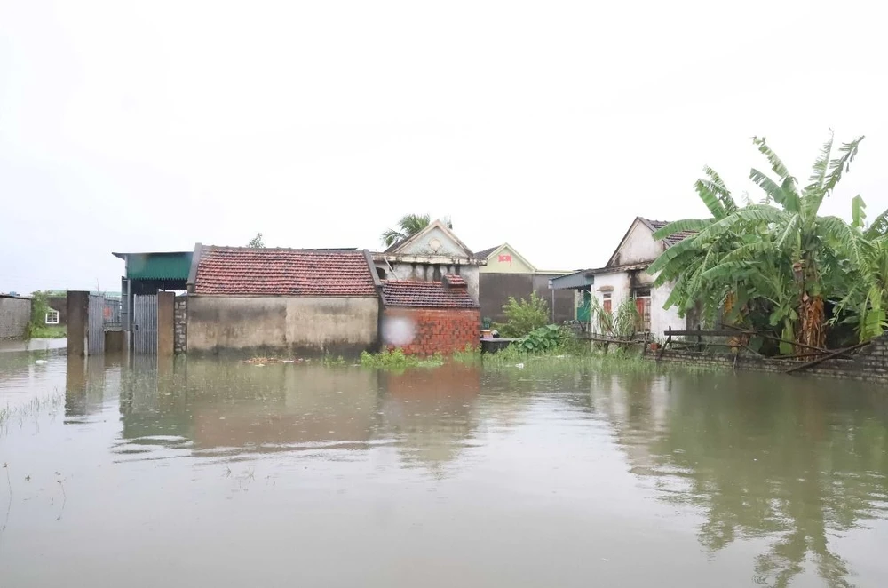 Khu vực vùng trũng Đồng Tháng Năm (thuộc địa phận 2 xóm Quyết Thành, Hải Bắc, xã Diễn Bích, huyện Diễn Châu, Nghệ An) ngập trong biển nước hồi tháng trước. (Ảnh: Xuân Tiến/TTXVN)