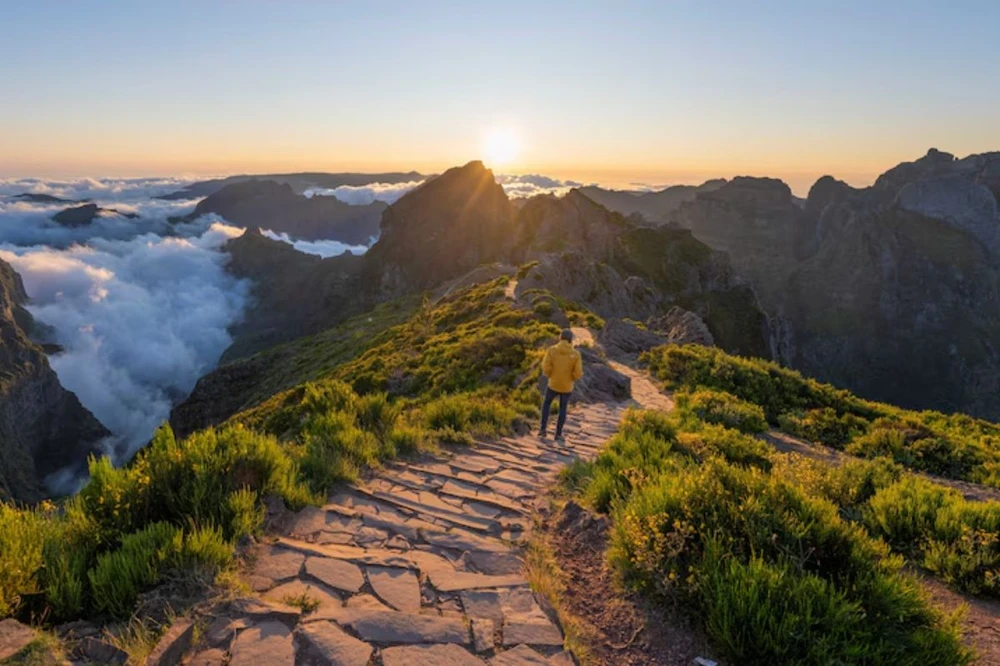 Madeira có những đường mòn thoai thoải trong rừng cho đến những con dốc chênh vênh lên núi cao. (Nguồn: Getty Images/National Geographic)