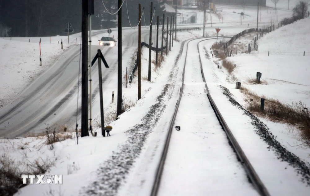 Tuyết bao phủ dày đặc tại Lengenwang, miền nam nước Đức ngày 5/1. (Nguồn: AFP/TTXVN)