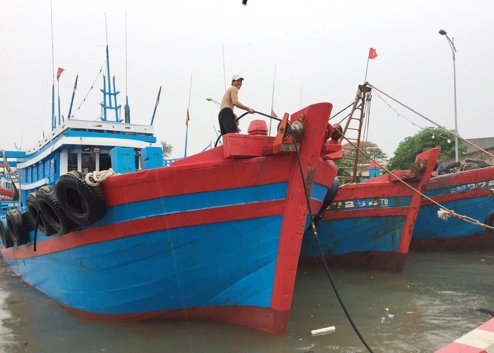 Người dân chằng buộc, neo tàu chắc chắn vào bờ để chống bão. (Ảnh: Nguyễn Oanh/TTXVN)