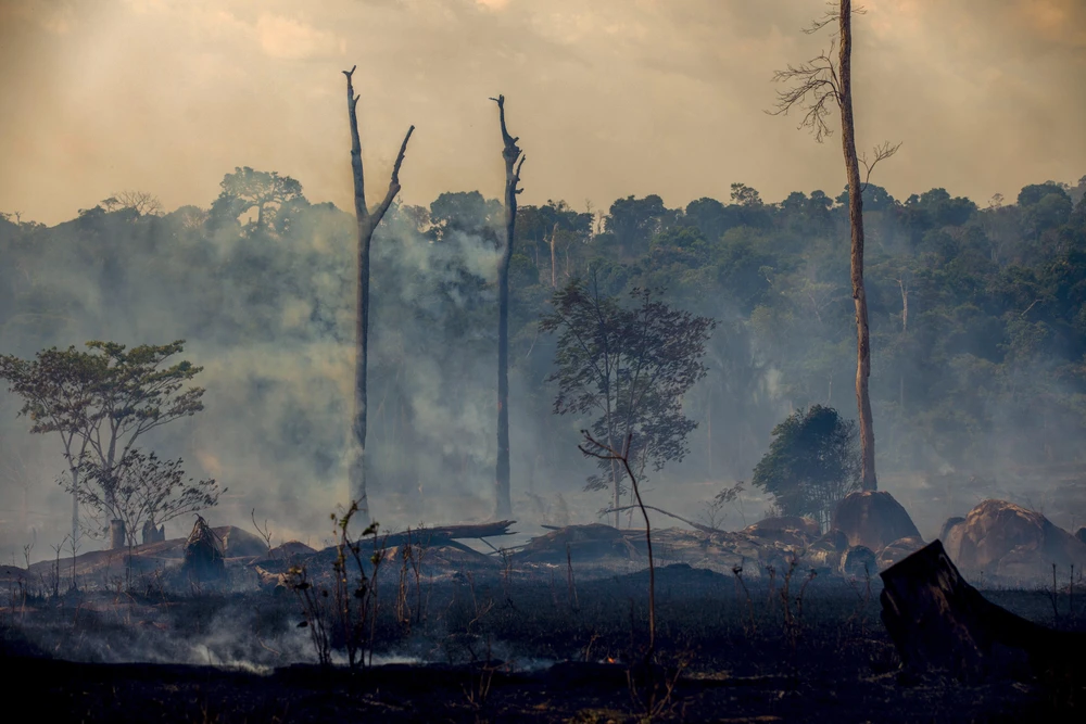 Rừng Amazon bị thiêu trụi tại Altamira, bang Para, Brazil, ngày 27/8/2019. (Nguồn: AFP/TTXVN)