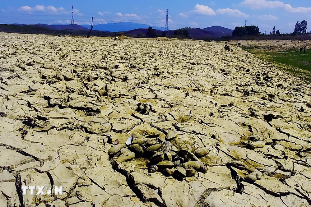 Nắng nóng, khô hạn khiến các hồ chứa tại Bình Thuận cạn trơ đáy. (Ảnh: Nguyễn Thanh/TTXVN)