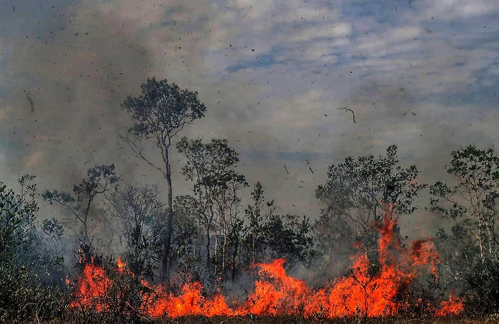 Trong ảnh: Khói lửa bốc cao trong vụ cháy rừng tại Amazonas,Brazil ngày 26/8. (Nguồn: THX/TTXVN)