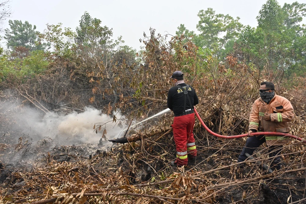 Lực lượng cứu hỏa nỗ lực dập lửa cháy rừng tại Kampar, Riau, Indonesia, ngày 13/9/2019. (Nguồn: AFP/TTXVN)
